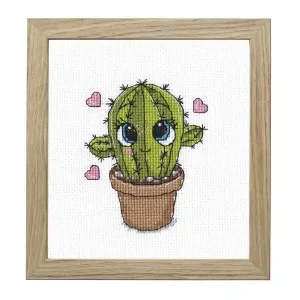 Kracherpreis Stickpackung Bild Kleiner Kaktus