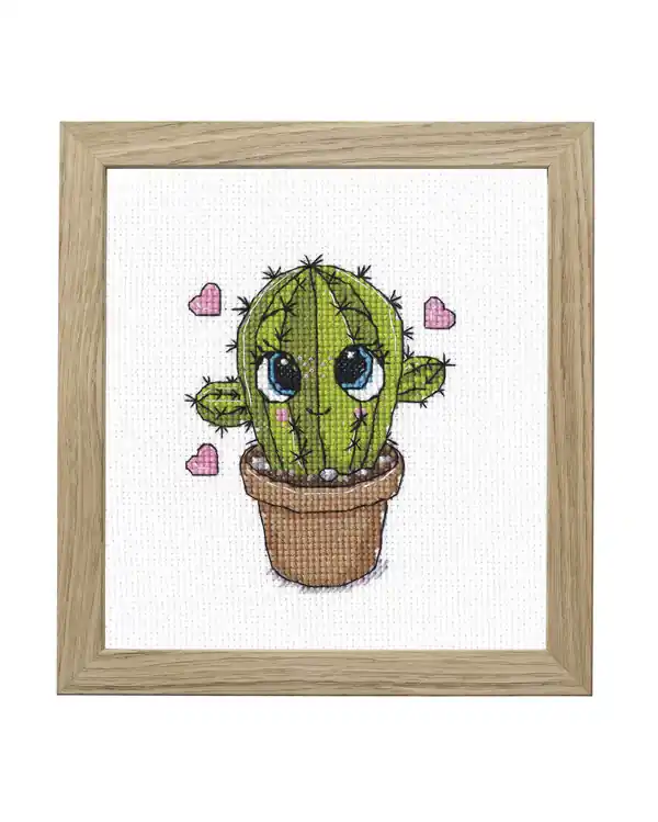 Kracherpreis Stickpackung Bild Kleiner Kaktus