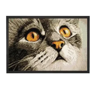 Diamond painting Goldener Blick Gratis Versand