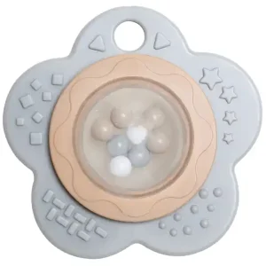 Rasselblume Expressversand