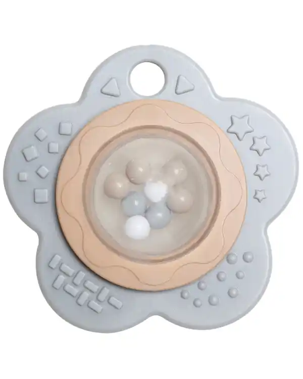 Rasselblume Expressversand