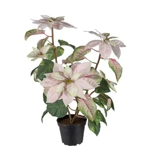 Kunstpflanze Herbststern Online Kaufen