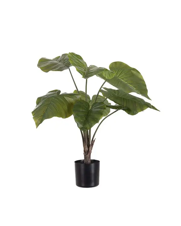 Kunstpflanze Alocasia im Topf Top-Angebot