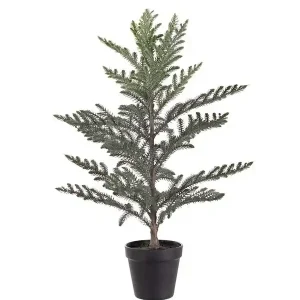 Kunstpflanze Zimmertanne im Topf Top-Qualität