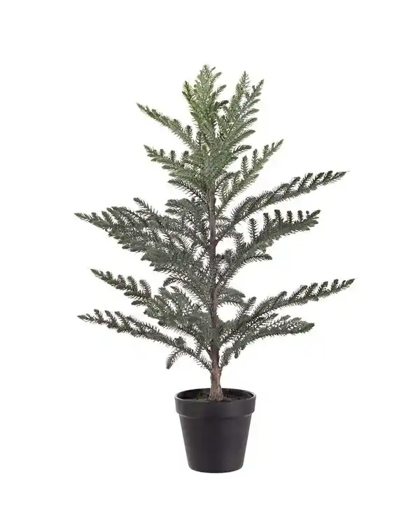 Kunstpflanze Zimmertanne im Topf Top-Qualität