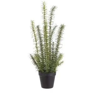 Kunstpflanze Rosmarin im Topf Echt