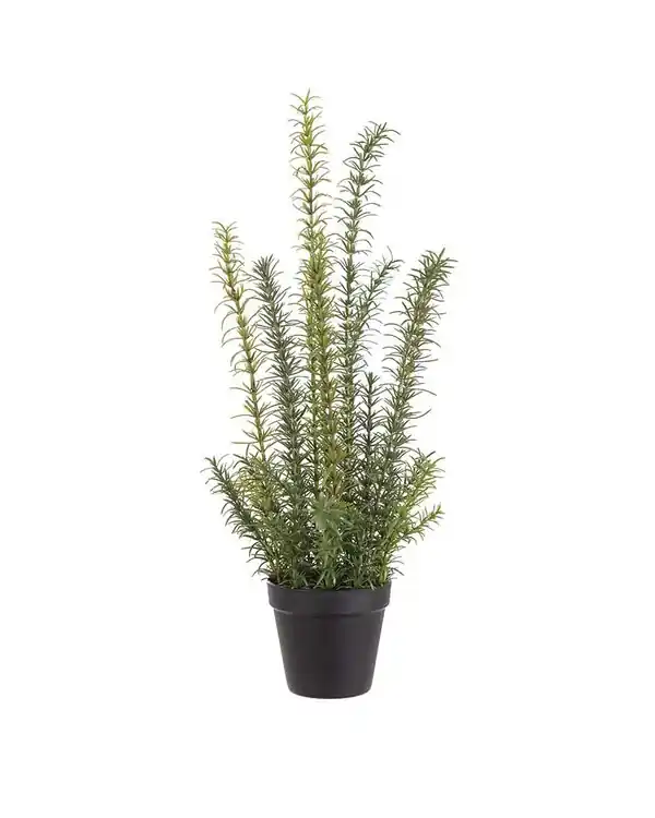 Kunstpflanze Rosmarin im Topf Echt