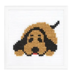 Bild Hund Mega-Angebot