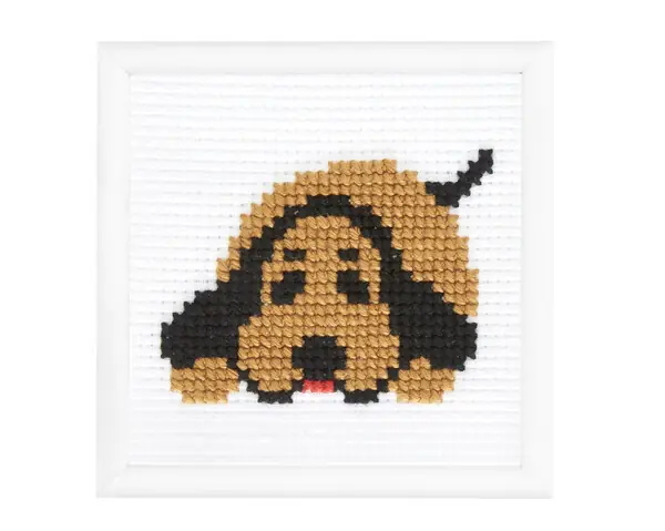 Bild Hund Mega-Angebot