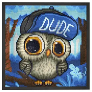 Geld-Zurück-Garantie Diamond painting Dude