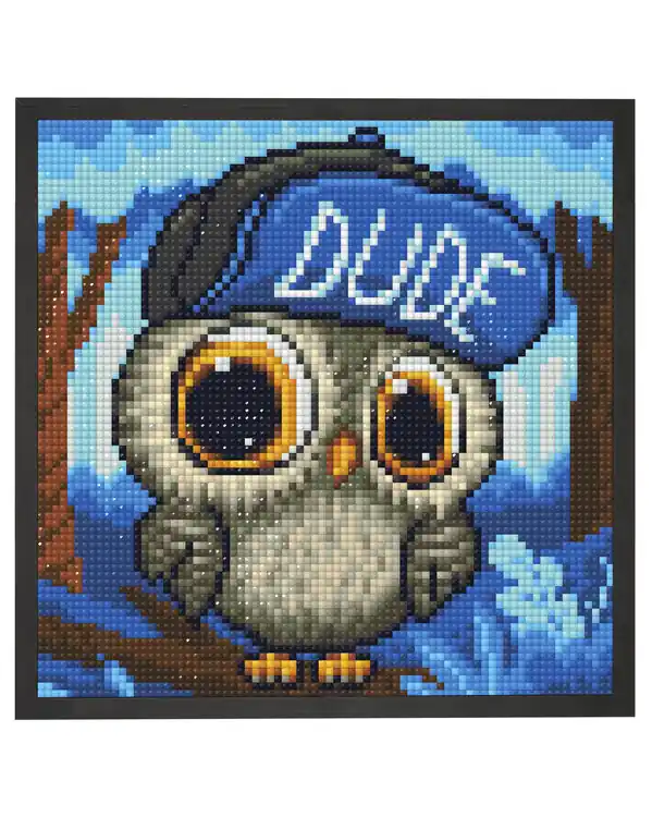 Geld-Zurück-Garantie Diamond painting Dude