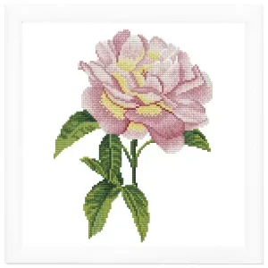 Diamond Dotz Pink Rose Solange Der Vorrat Reicht