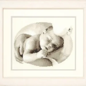 Zertifiziert Bild Schmusezeit