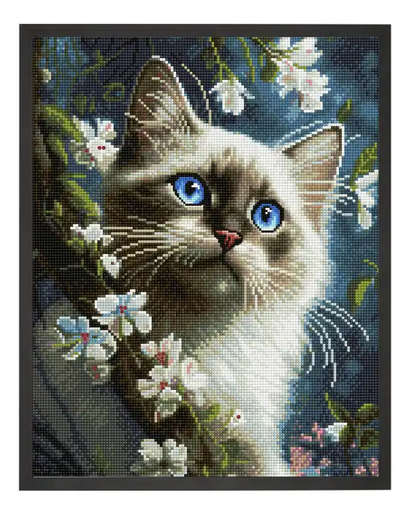 Diamond painting Harmonie Neue Kollektion