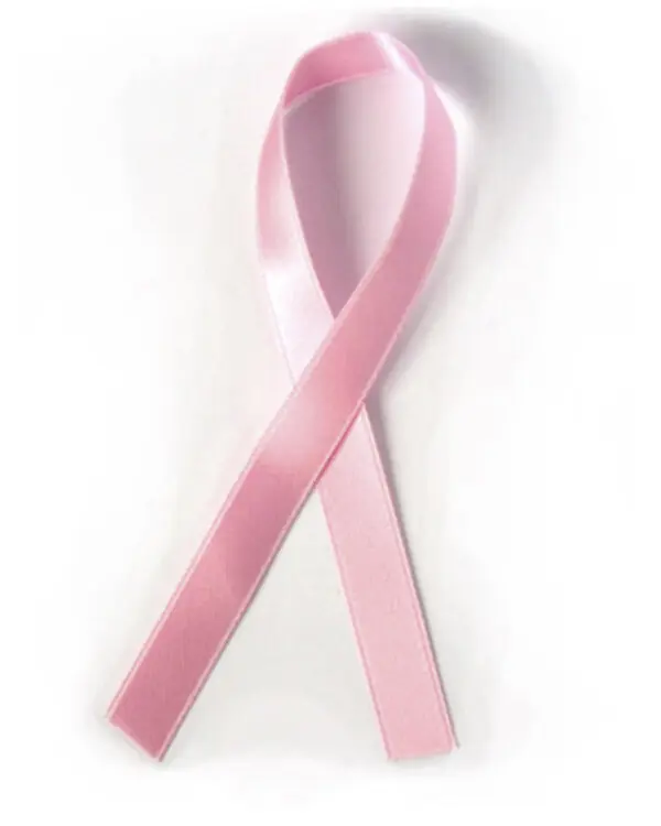 Seideband rosa 10 mm Limited Edition