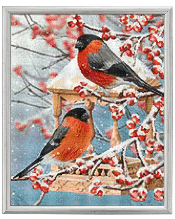 Diamond painting Vögel Preiswert