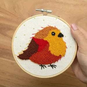 Angebot Punch needle Kit Bird