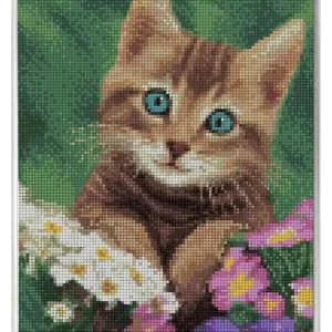 Diamond Painting Kätzchen Geprüft