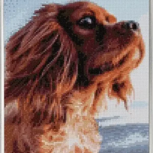 Diamond Painting Hund Sale