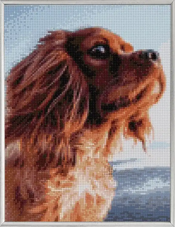 Diamond Painting Hund Sale