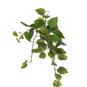 Sonderaktion Kunstpflanze Goldranke