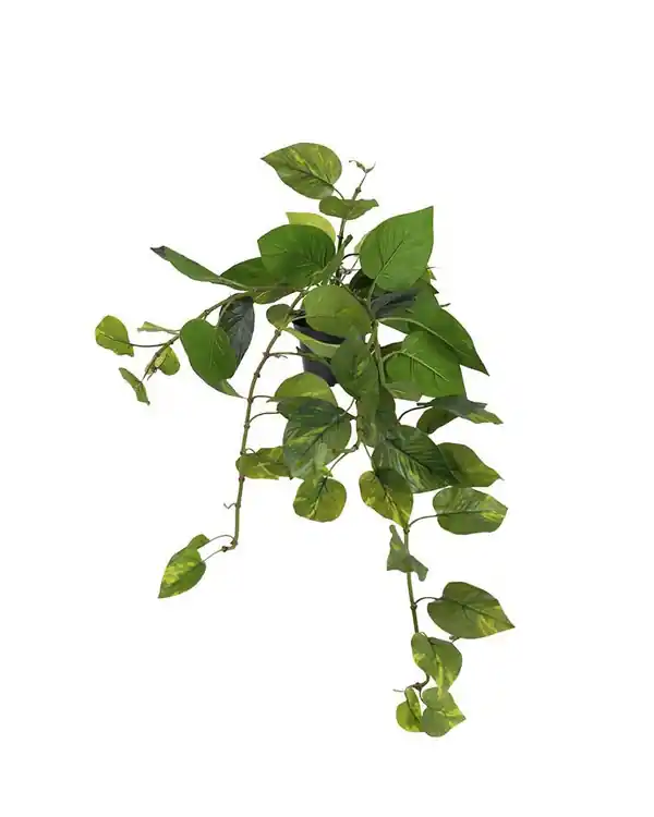 Sonderaktion Kunstpflanze Goldranke