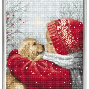 Versand Am Gleichen Tag Stickpackung Bild Weihnachtsumarmung