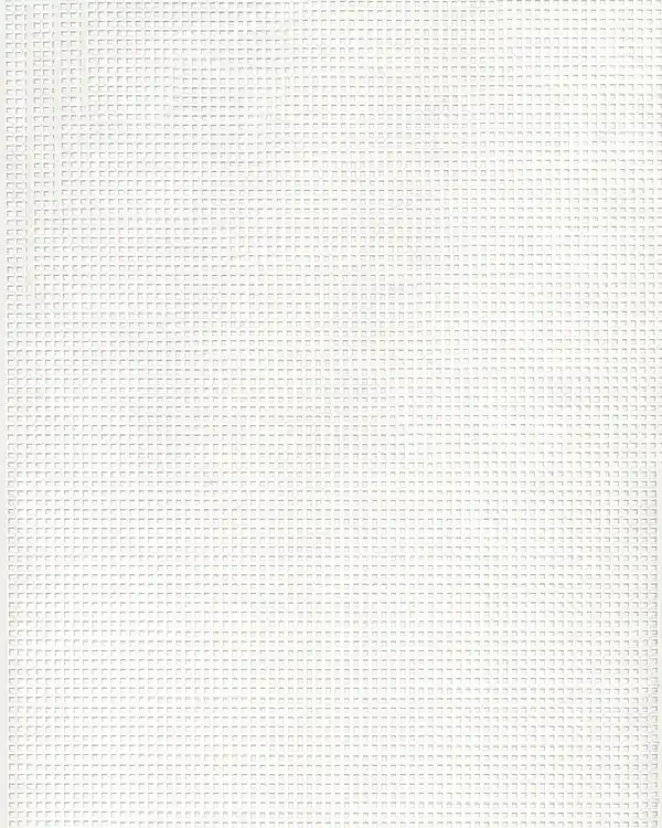 Plastik Canvas 30×25 weiß Finale Aktion