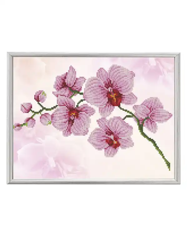 Diamond Dotz Orchidee Super-Preis