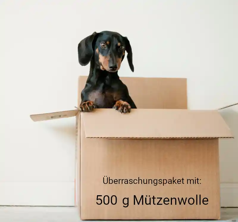 Überraschungspaket 500g Mützenwolle Top-Qualität