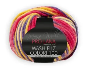 PRO LANA Wash Filz Colori 100 Meistverkauft