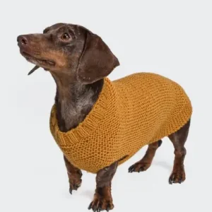 Im Trend Hundepulli mit Rippenbund aus Bingo mèlange (We Care)