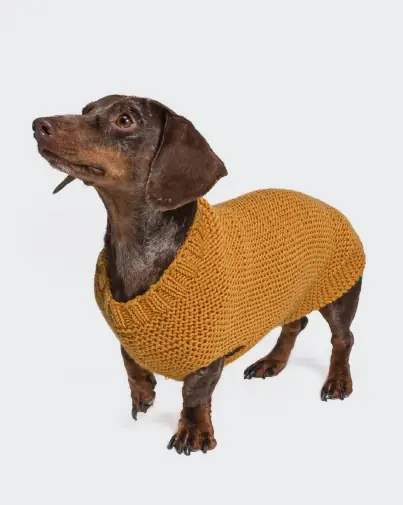 Im Trend Hundepulli mit Rippenbund aus Bingo mèlange (We Care)