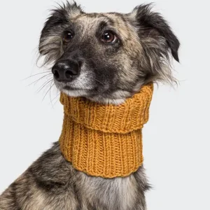 Hundeloop aus Bingo mèlange (We Care) Neu Im Sortiment