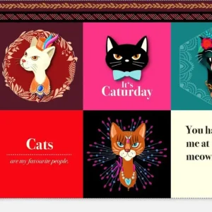 Bio-Canvas Panel "Cat Cuteness" Multicolor Neu