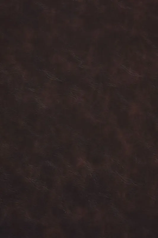 Kunstleder Vintage Dunkelbraun Angebot