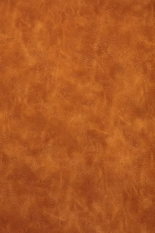 Kostenloser Versand Kunstleder Vintage Hellbraun