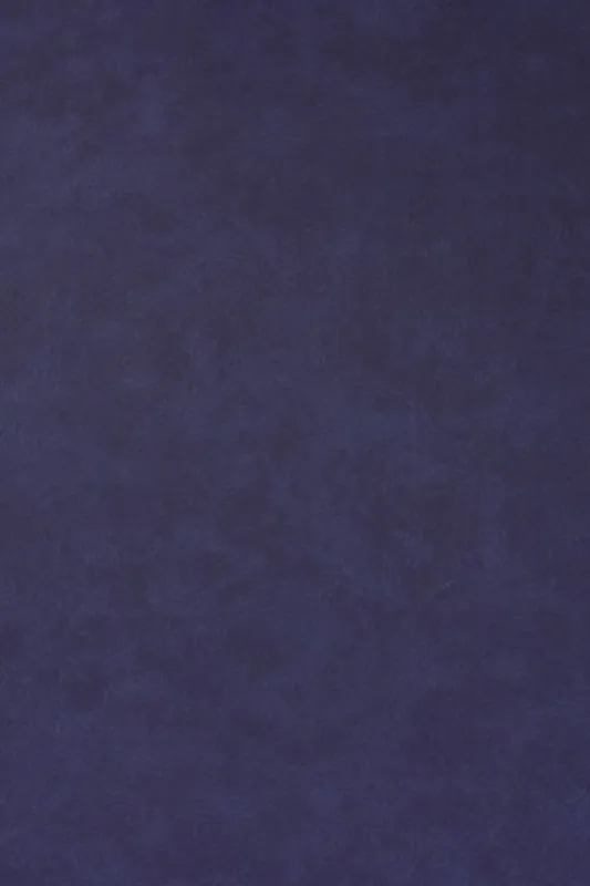 Heute Kaufen Kunstleder Used Navy Blau