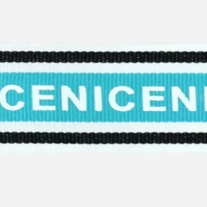 Angebot Ripsband NICE Petrol 3cm