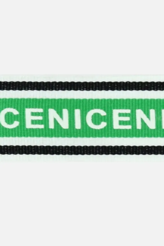 Preis Gesenkt Ripsband NICE Apfelgrün 3cm