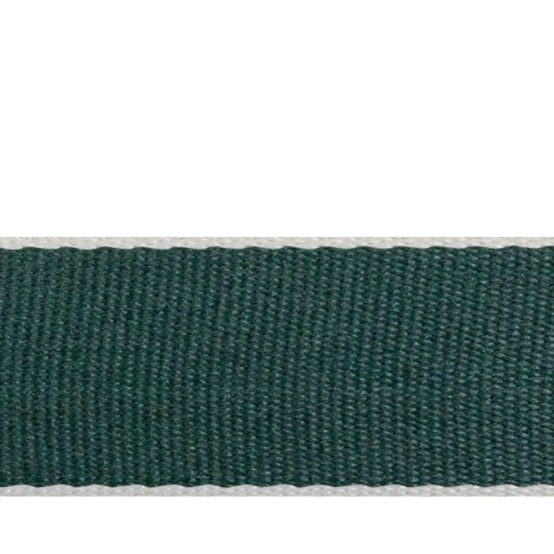 4cm Gurtband blassgrün mit Randstreifen – Taschengurt Gürtelband Rucksack Einfassband Versand Am Gleichen Tag