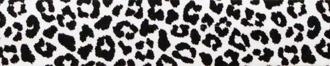 3m Leo schwarz weiß – elastisches Schrägband aus Jersey – Jerseyschrägband 40/20/10 Animal Print Bi Bestpreis