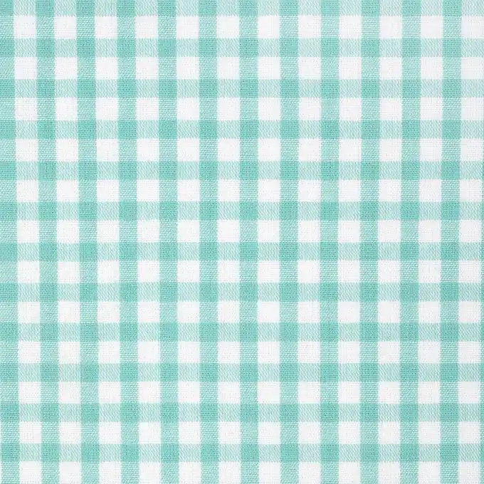 Kracherpreis Baumwollstoff Vichy-Karos grün und weiß