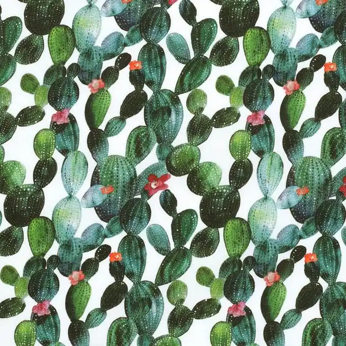 Aktuell Beschichteter Baumwollstoff, weich und dünn, Kaktusmotive