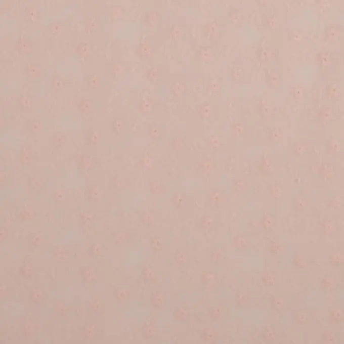 Knallerangebot Bestickter Baumwollstoff Rosa