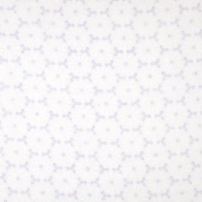 Echt Geblümter Baumwollbatist