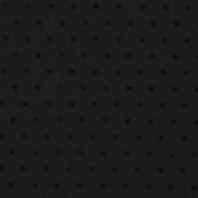 Batist Plumetis Schwarz Geld-Zurück-Garantie