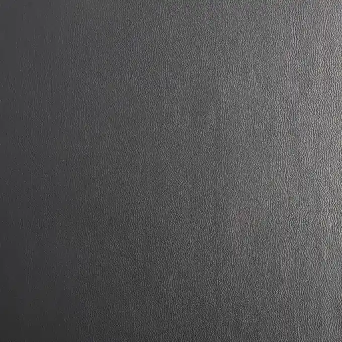Einfarbiges Lederimitat Karia, anthrazitgrau Sofort Bestellen