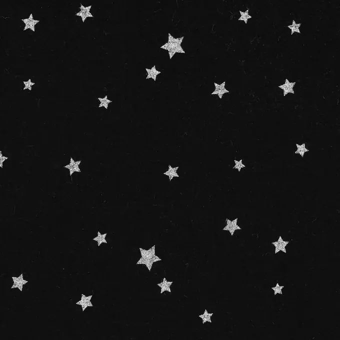Begrenztes Angebot Popeline Stoff Schwarz mit Silbernen Sternen 145cm Breite