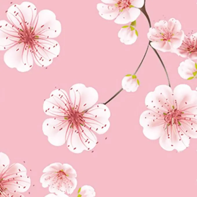 Baumwollstoff Kirschblüten Rosa Sonderaktion